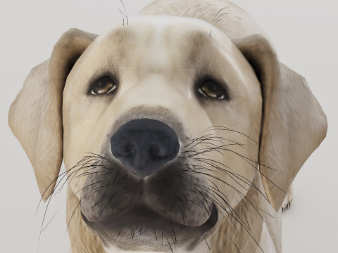 Big Dog Set x3 Model 3D