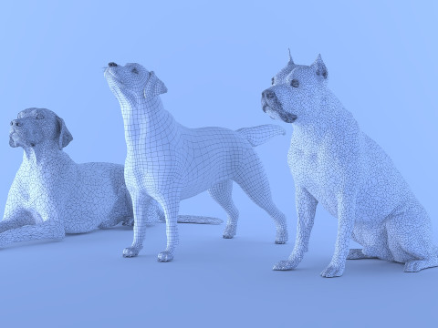 Big Dog Set x3 Model 3D