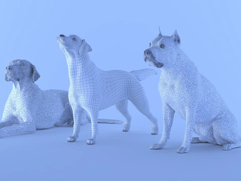 Big Dog Set x3 3D Model