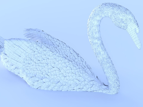A swan on the water Modelo 3D