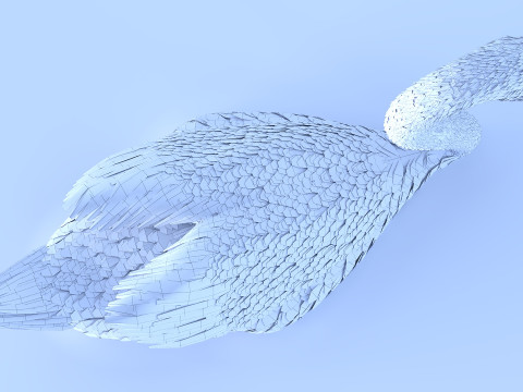 A swan on the water Modelo 3D