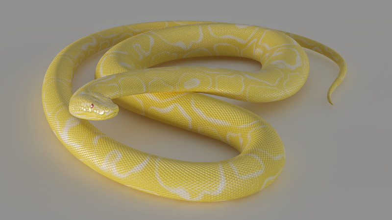 Yellow python 3D Model .c4d .max .obj .3ds .fbx .stl .blend 