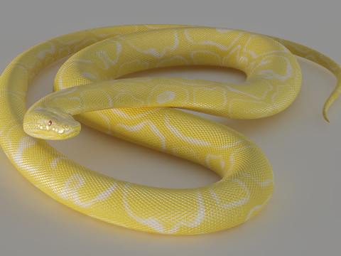 Yellow python Modelo 3D