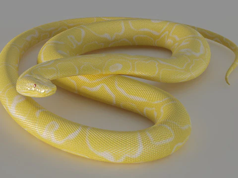 Ż&oacute;łty pyton Model 3D