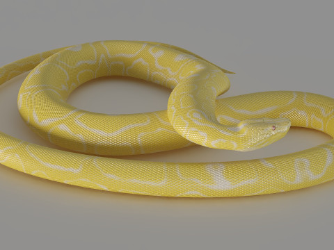 Yellow python 3D Model