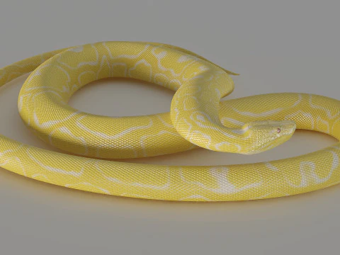 Ż&oacute;łty pyton Model 3D