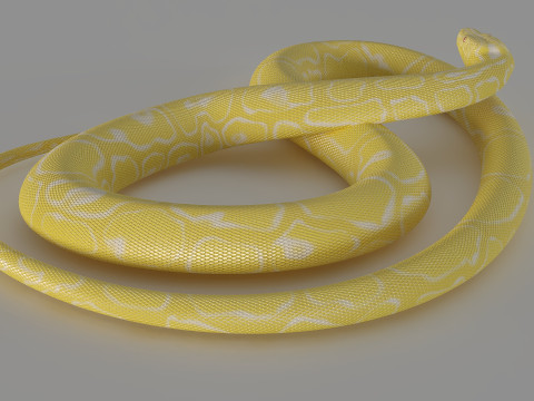 Yellow python 3D Model