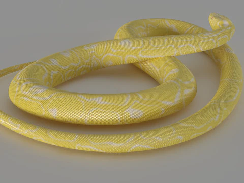 Ż&oacute;łty pyton Model 3D