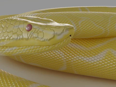 Ż&oacute;łty pyton Model 3D