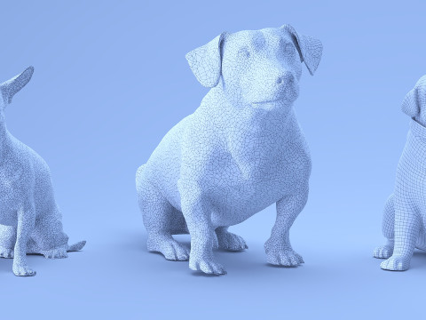 Small dog set x5 3D Model