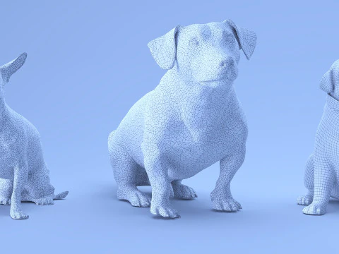Small dog set x5 3D Model