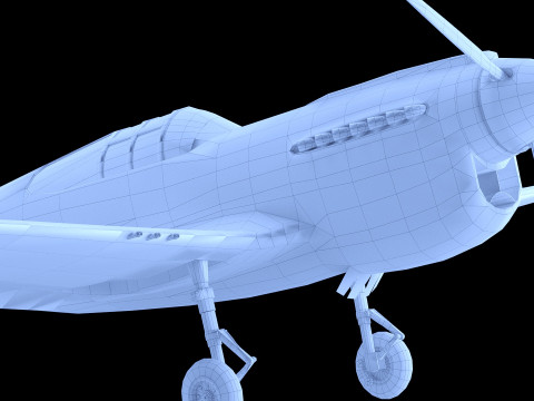 Curtis P 40 Airplane Low-poly Modelo 3D