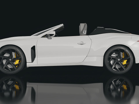 Bentley Bacalar Mulliner 2021 3D Model