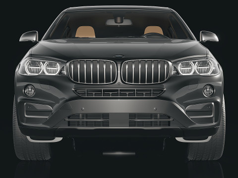 SUV X6 xDrive50i 3D Model