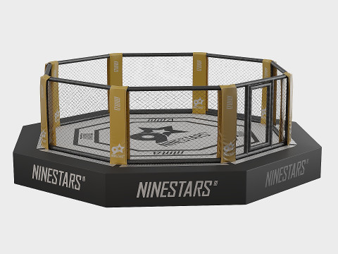 Arena MMA Modèle 3D