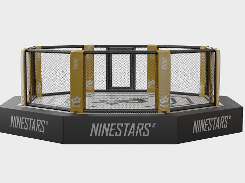 Arena MMA Modello 3D