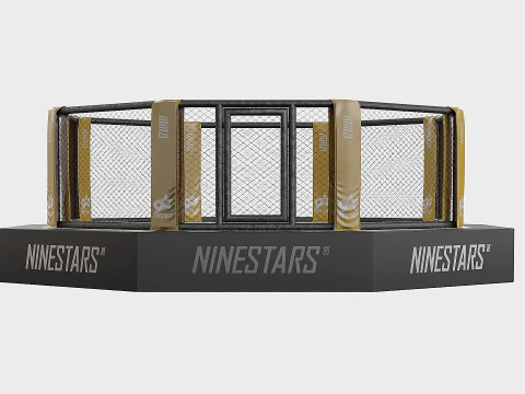 Arena MMA 3D Model