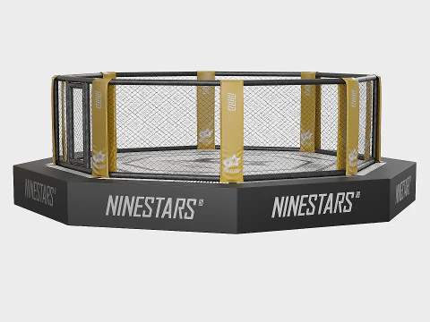Arena MMA 3D Model