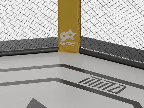 Arena MMA 3D Model