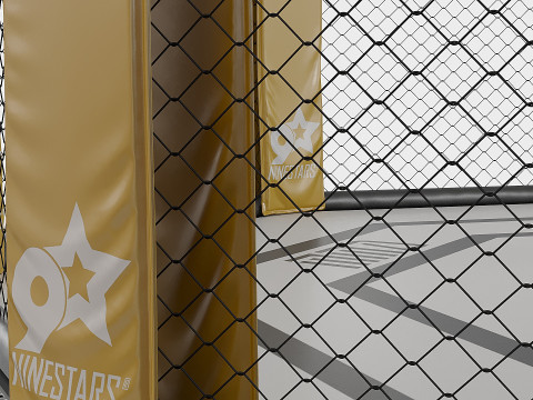 Arena MMA Modello 3D