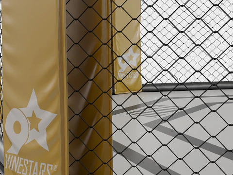 Arena MMA 3D Model