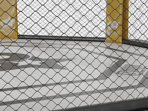 Arena MMA Modello 3D