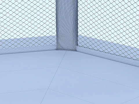 Arena MMA 3D Model
