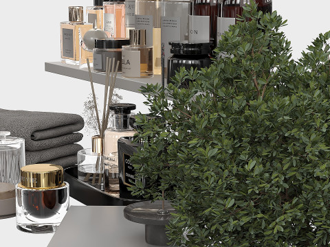 Bathroom Accessories 12 3D Model