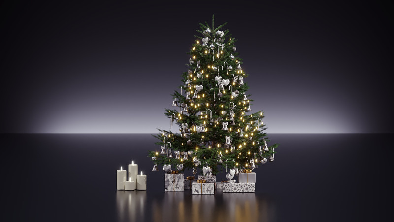 圣诞装饰 16 3D 模型 .c4d .max .obj .3ds .fbx .stl .blend 