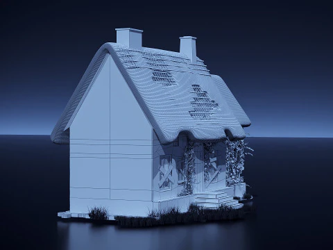 Old house 3D Model