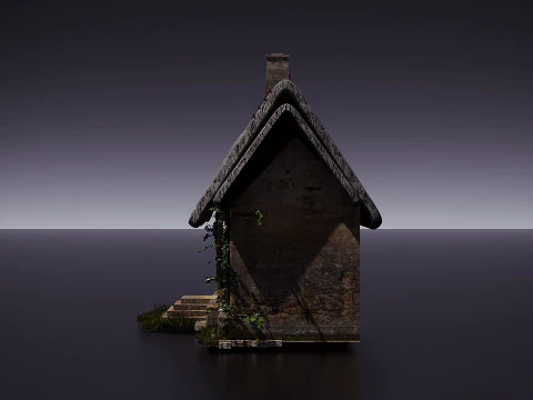 Old house 3D Model