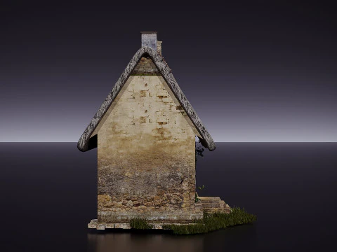 Old house 3D Model