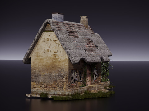 Vecchia casa Modello 3D