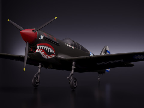 Curtis P 40 Flugzeug 3D Modell