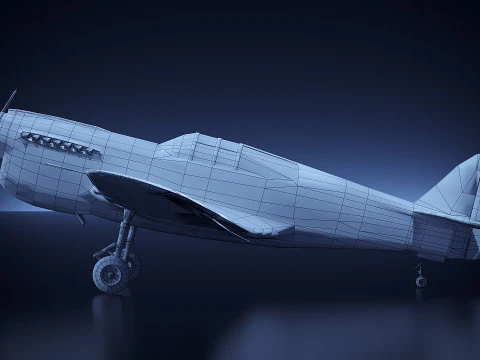 Curtis P 40 Airplane 3D Model