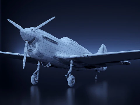 Curtis P 40 Airplane 3D Model