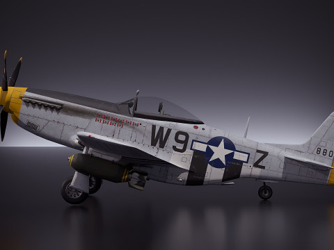 P51D-Mustang 3D Model