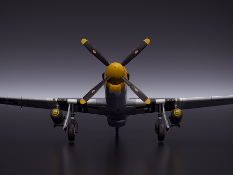 P51D Mustang 3D Model