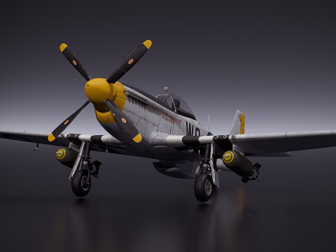 P51D Mustang 3D Model