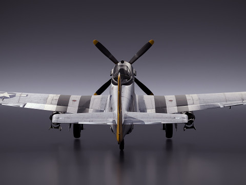 P51D Mustang 3D Model