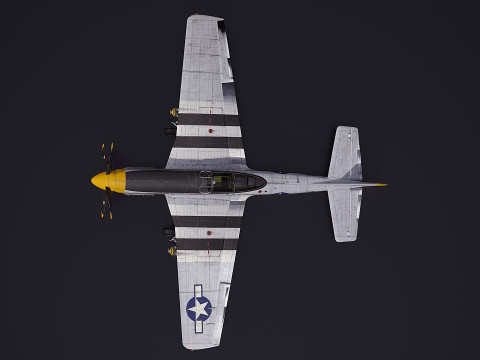 P51D Mustang 3D Model