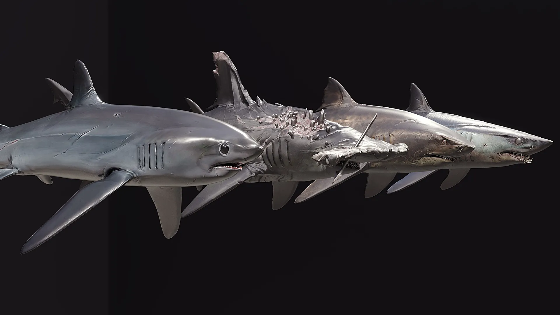 4 esp&eacute;cies de tubar&otilde;es Modelo 3D .c4d .max .obj .3ds .fbx .stl .blend 