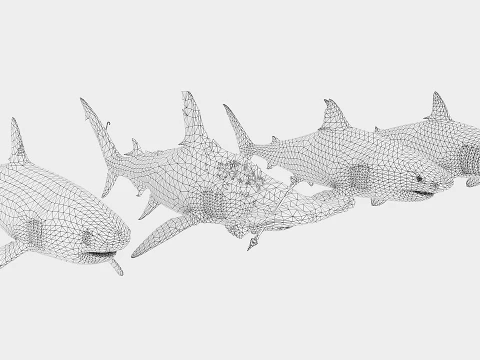 4 esp&eacute;cies de tubar&otilde;es Modelo 3D
