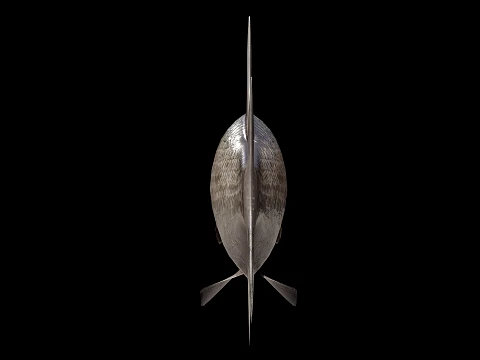 Atlantic fish 3D Model