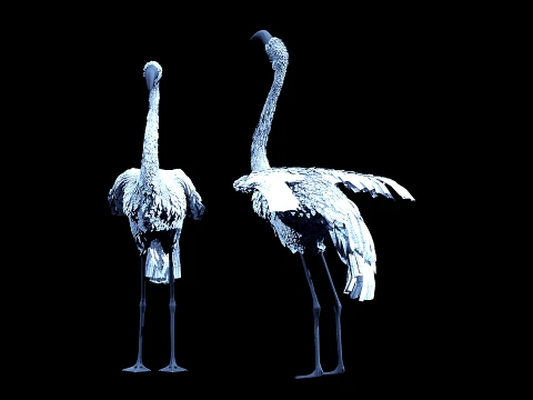 Flamingo Modelo 3D