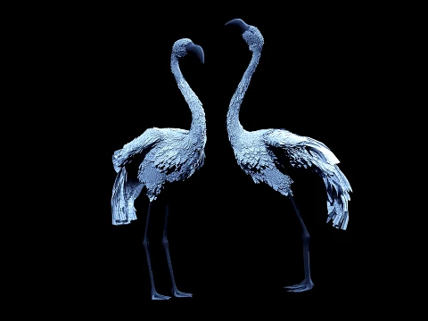 Flamingo Modelo 3D