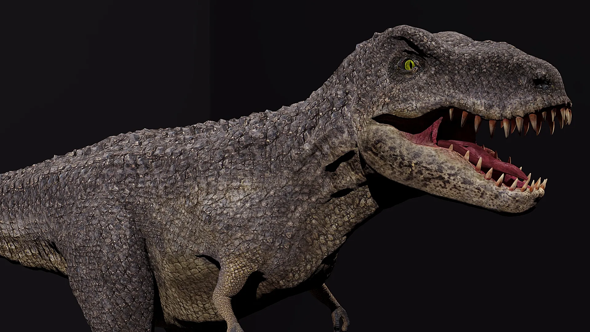 Tyrannosaurus Rex 3D Model .c4d .max .obj .3ds .fbx .stl .blend