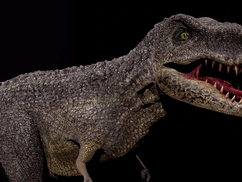 Tyrannosaurus Rex 3D Model