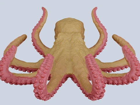 Octopus 3D Model