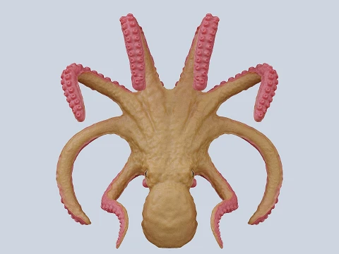 Octopus 3D Model